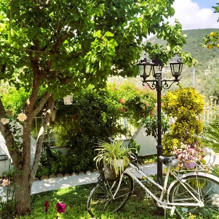 Amalia's Maisonette *
