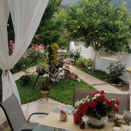 Amalia's Maisonette Дом отдыха Marathos (Thessaly)